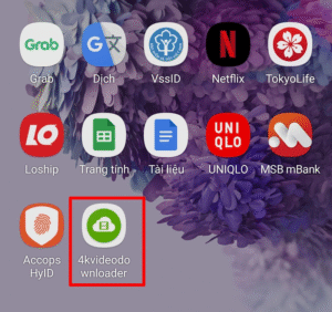 Tải phần mềm 4K Video Downloader
